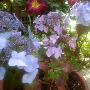 Meet your Posher, Jan